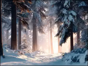 Droga, Grafika AI, Drzewa, Zima, Las