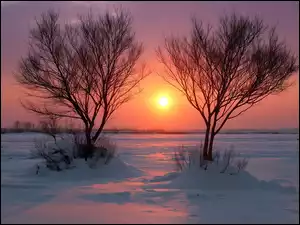 Zachód słońca, Zima, Pole, Drzewa, Ośnieżone, Dwa