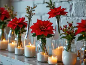 Gwiazda betlejemska, Kwiaty, Naczynia, AI, Świece, Szklane