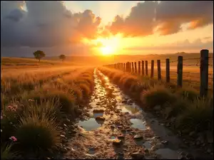 Pole, Łąka, Ogrodzenie, Zachód słońca, Droga, Kałuże