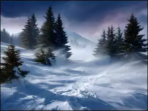 Zbocze, Zima, Świerki, Grafika AI, Drzewa, Zamieć