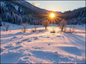 Wschód słońca, Zima, Las, Poranek, Pole, Góry, Grafika AI, Drzewa
