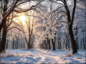 Drzewa, Grafika AI, Las, Zima, Słońce