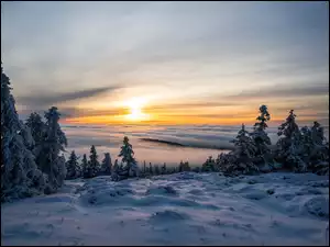 Zachód słońca, Chmury, Śnieg, Zima, Pole, Drzewa, Ośnieżone