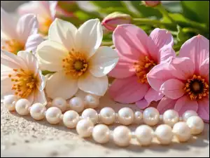 Białe, Perły, Kwiaty, Różowe, Korale