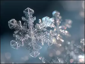 Śnieżynka w grafice