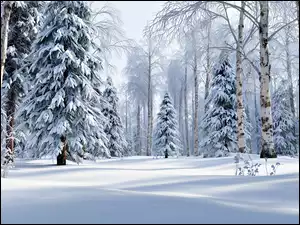 Las, Zima, Brzozy, Grafika AI, Drzewa, Świerki