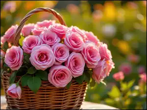 Bukiet, Koszyk, Róże, Różowe, Wiklinowy