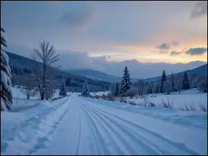 Drzewa, Grafika AI, Droga, Zima, Góry