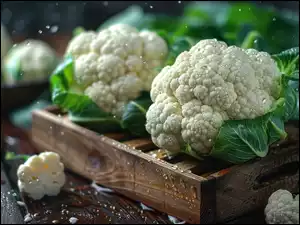 Krople, Kalafiory, Skrzynka