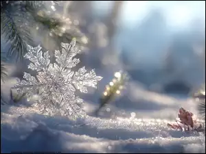 Rozświetlona śnieżynka na śniegu obok gałązek świerku