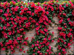 Cegły, Mur, Pnące, Grafika AI, Kwiaty, Czerwone