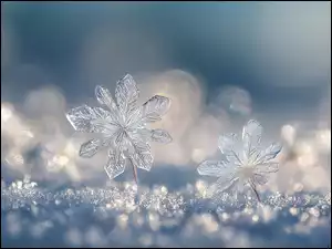 Grafika AI, Śnieżynki, Śnieg, Zima