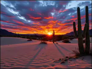 Grafika AI, Pustynia, Kaktusy, Zachód słońca