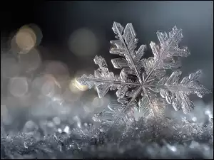 Śnieżynka na śniegu na ciemnym tle