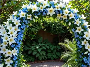 Kwiatowy, Łuk, Rośliny, Ogród, Kwiaty, Białe, Niebieskie