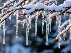 Gałązki, Grafika AI, Śnieg, Sople, Zima