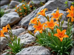 Lilie, Grafika AI, Pomarańczowe, Kwiaty, Kamienie