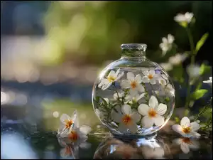 Grafika AI, Szklany, Wazonik, Kwiaty