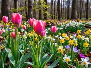 Żonkile, Tulipany, Wiosna, Grafika AI, Kwiaty, Las