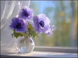 Zawilce, Anemony, Grafika AI, Fioletowe, Firanki, Okno, Wazon