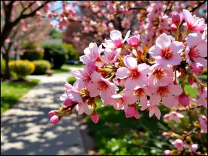 Grafika AI, Kwiaty, Gałązka