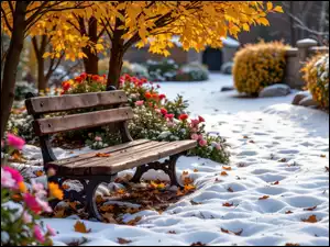 Liście, Ławka, Krzewy, Śnieg, Kwiaty, Pożółkłe, Park, Drzewa