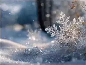 Dwie śnieżynki na śniegu obok suchych roślin