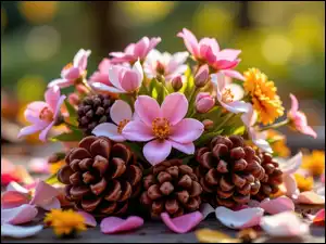 Płatki, Kolorowe, Kwiaty, Szyszki