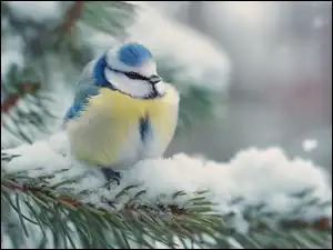 Gałązki, Grafika AI, Modraszka, Sikorka, Śnieg