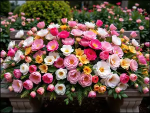 Piwonie, Ławka, Tulipany, Kwiaty, Kamelie