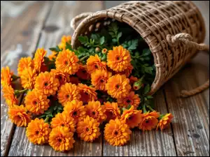 Kwiaty, Pomarańczowe, Kosz, Deski, Leżący, Wiklinowy