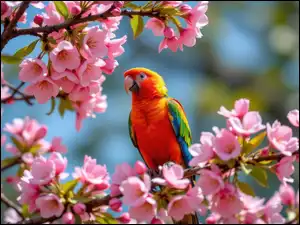 Drzewo owocowe, Kolorowa, Papuga, Kwiaty