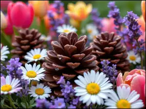 Kolorowe, Stokrotki, Grafika AI, Kwiaty, Szyszki, Tulipany, Lawenda