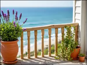 Donica z lawendą na balkonie domu nad morzem