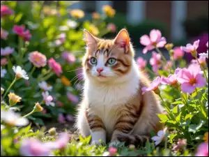 Spojrzenie siedzącego biało-rudego kota wśród kwiatów