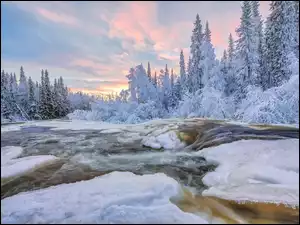 Oblodzona, Zima, Ośnieżone, Krzewy, Rzeka, Drzewa