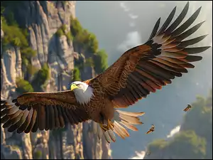Lot, Ptak, Rozpostarte, Skały, Bielik amerykański, Skrzydła