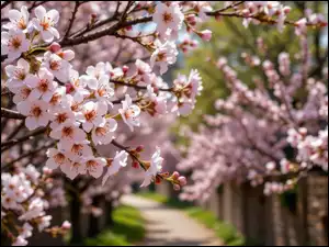 Drzewa owocowe, Gałązki, Grafika AI, Kwitnące, Droga, Kwiaty, Jasnoróżowe