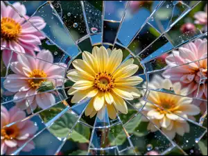 Pęknięty ekran, Kwiaty, Pęknięte, Szkło