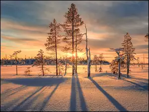 Zachód słońca, Śnieg, Zima, Drzewa