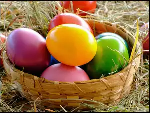Koszyk, Wielkanoc, Jajka, Kolorowe