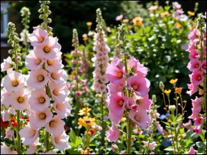 Grafika AI, Malwy, Kwiaty, Ogród