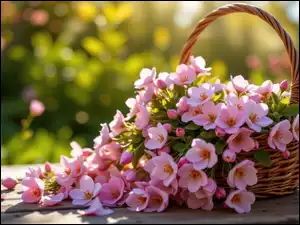 Drobne, Różowe, Wiklinowy, Deski, Kwiaty, Koszyk