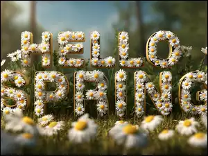 Napis HELLO SPRING ułożony z białych kwiatów margerytek