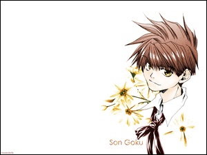 kwiatki, Saiyuki, chłopak