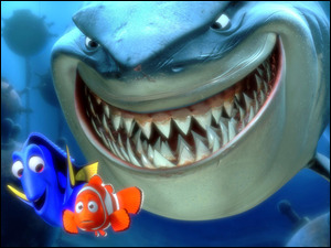 Gdzie Jest Nemo, rekin, rybki