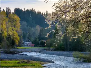 Rzeka Cedar River
