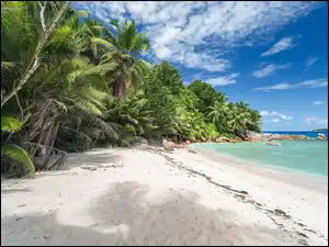 Felicite Island-wyspa na Seszelach