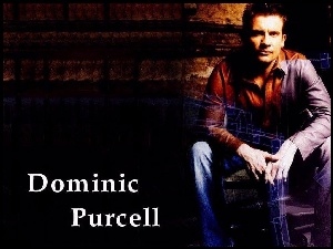 jeansy, Dominic Purcell, koszula